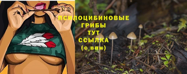 гидропоника Баксан