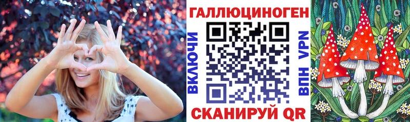 закладки  Белый  Галлюциногенные грибы Psilocybine cubensis 